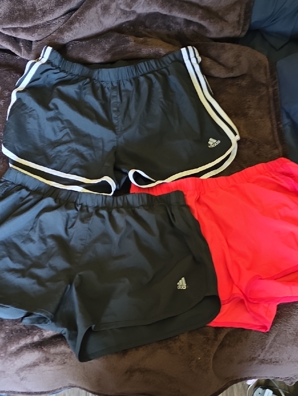 adidas Women 3-Pack Athletic Shorts in Black and Bright Pink